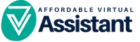 virtualouspro logo blue